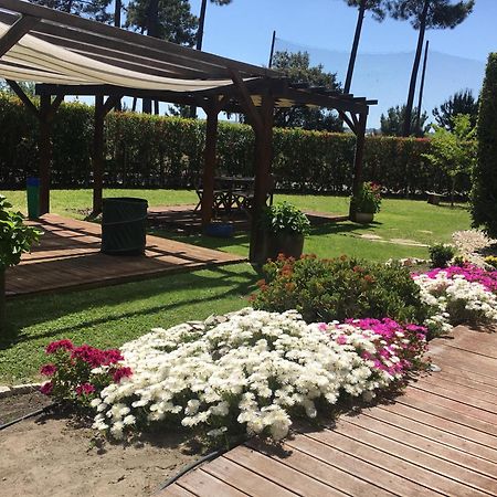 Villa De Lux With Pool Quinta do Anjo Exterior photo