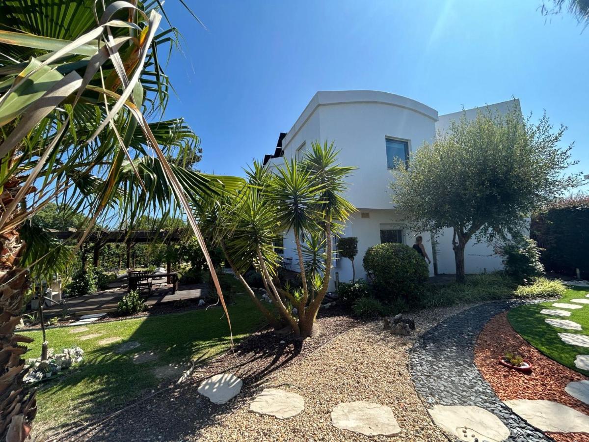 Villa De Lux With Pool Quinta do Anjo Exterior photo